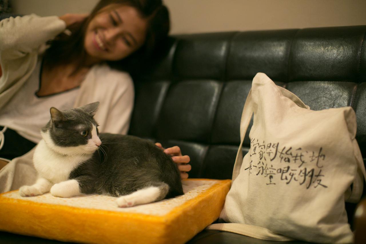 Lento Hostel Tainan Dış mekan fotoğraf